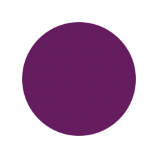 Aubergine